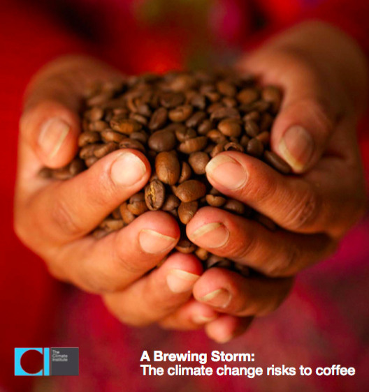 http://fairtrade.com.au/~/media/fairtrade%20australasia/files/resources%20for%20pages%20-%20reports%20standards%20and%20policies/tci_a_brewing_storm_final_24082016_web.pdf